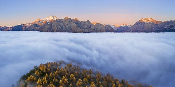 Fog covers the Valmalenco(Val Malenco) with the mountain range of Disgrazia illuminated