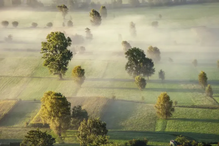 Framed Print : Fog in the fields at Valtellina, Lombardy, Italy Framed Print : Fog in the fields at Valtellina, Lombardy, Italy