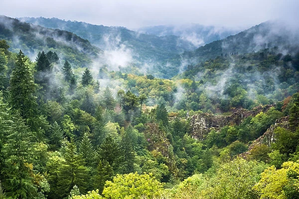 Fog over the Gorge de la Montane, Gimel-les-Cascades, Corraze da partement, Limousin
