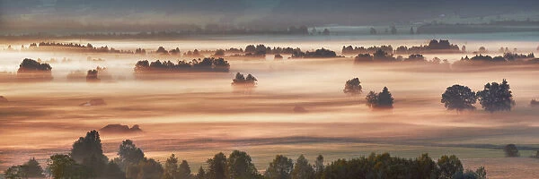 Fog impression at Sindelbachfilz - Germany, Bavaria, Upper Bavaria, Bad Tolz-Wolfratshausen, Kochel, Grossweil - Alps, Lake Kochel