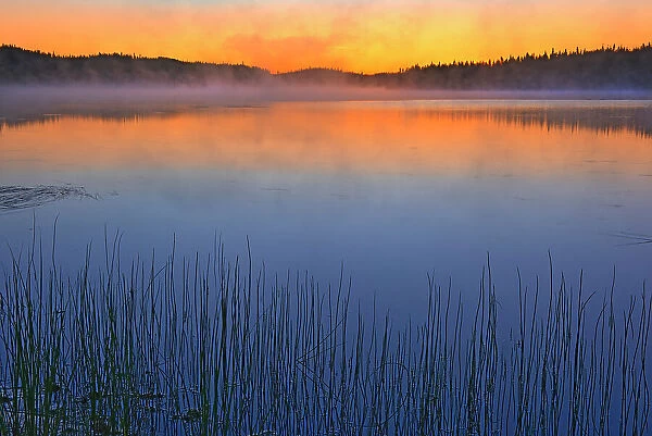 Fog over Lac Sauvage at dawn Chibougameau, Quebec, Canada
