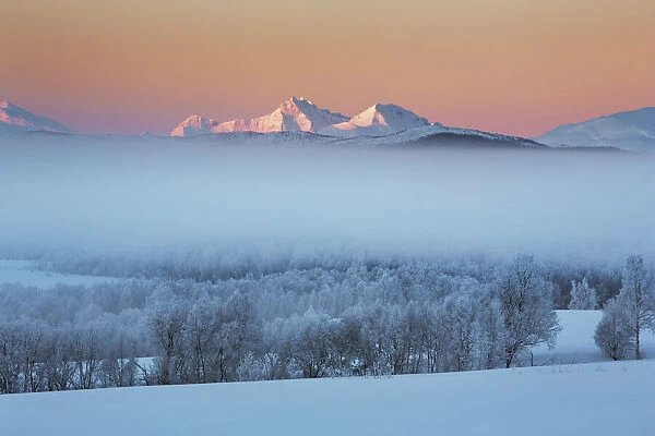 Fog landscape on Senja - Norway, Troms, Senja, Sorli