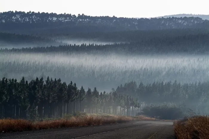 Framed Print : Fog on a mountain landscape of the Mpumalanga, region of South Africa Framed Print : Fog on a mountain landscape of the Mpumalanga, region of South Africa