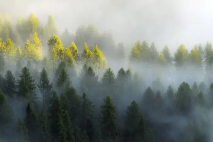 Framed Print : As the fog started to lift, layers upon layers started to appear and reveal the forests below the Giau Pass. Dolomites, Italy Framed Print : As the fog started to lift, layers upon layers started to appear and reveal the forests below the Giau Pass. Dolomites, Italy