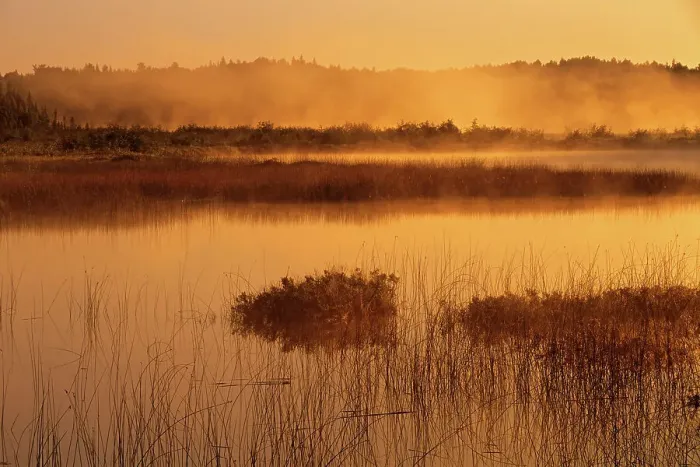 Framed Print : Fog at sunrise in the Vermilion River. Capreol, Ontario, Canada Framed Print : Fog at sunrise in the Vermilion River. Capreol, Ontario, Canada