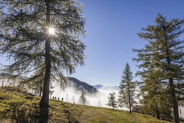Fog in the valley below the Dachstein, near Ramsau am Dachstein, Styria, Austria