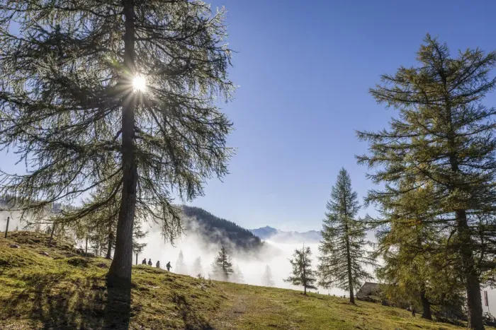Framed Print : Fog in the valley below the Dachstein, near Ramsau am Dachstein, Styria, Austria Framed Print : Fog in the valley below the Dachstein, near Ramsau am Dachstein, Styria, Austria