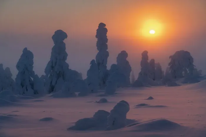 Framed Print : Foggy evening on the hills of Kuertunturi, in the Yllas-Pallastunturi National Park, Lapland, Finland