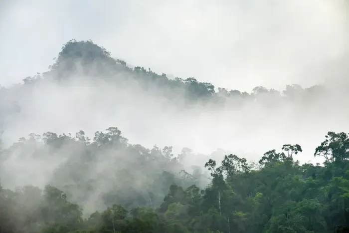 Framed Print : Foggy jungle landscape in Phong Nha-Ke Bang National Park, Bo Trach District, Quang Framed Print : Foggy jungle landscape in Phong Nha-Ke Bang National Park, Bo Trach District, Quang