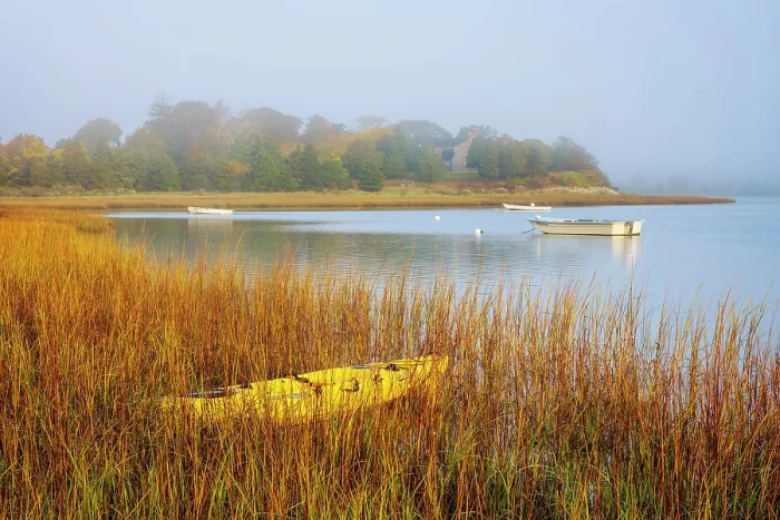 Framed Print : Foggy morning with yellow kayak at a Cape Cod marsh in autumn, Massachusetts, USA Framed Print : Foggy morning with yellow kayak at a Cape Cod marsh in autumn, Massachusetts, USA