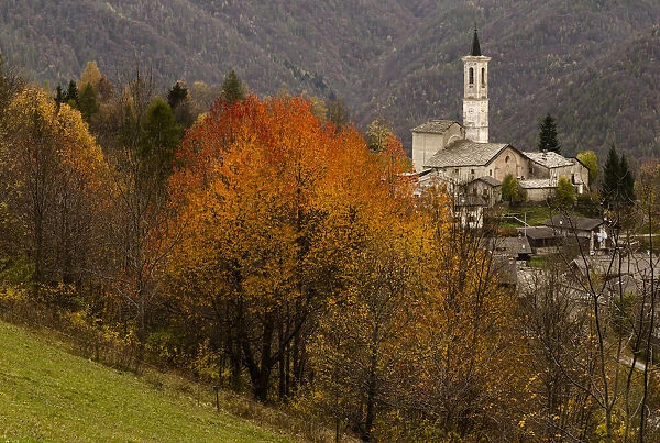 Foliage in Becetto, Sampeyre, Piedmont, Italy