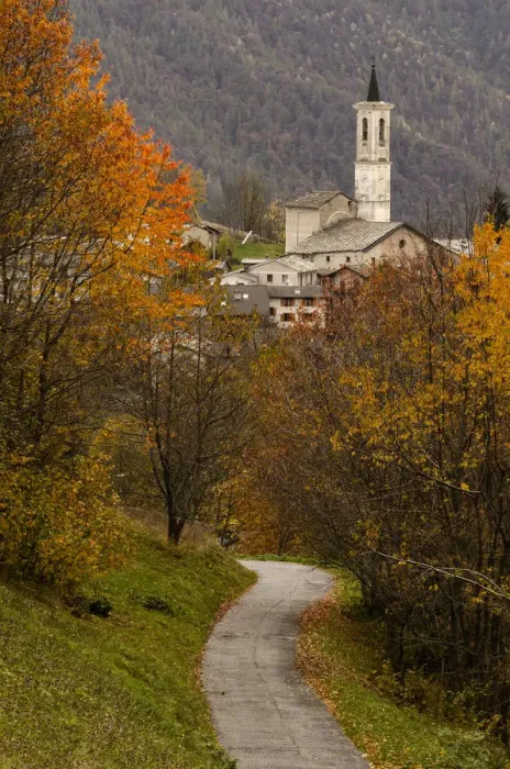 Framed Print : Foliage in Becetto, Sampeyre, Piedmont, Italy Framed Print : Foliage in Becetto, Sampeyre, Piedmont, Italy