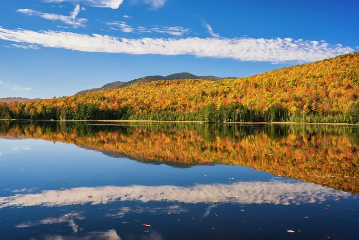 Framed Print : Foliage and cloud reflection in autumn, Adirondack Mountains, New York, USA