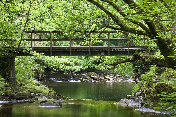 Footbridge over the Nedd Fechan River, Brecon Beacons National Park, Powys, Wales