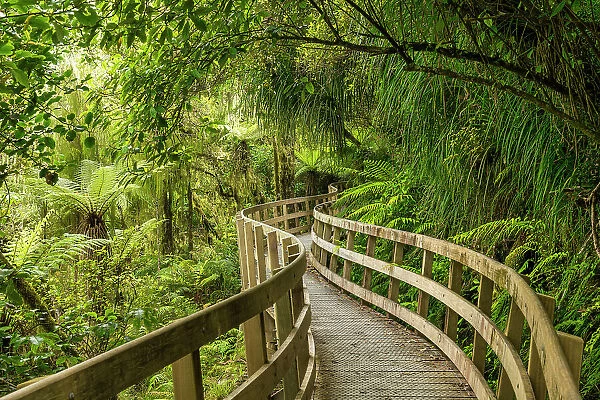 Footpath Through Hokitika Gorge, near Hokitika, South Island, New Zealand