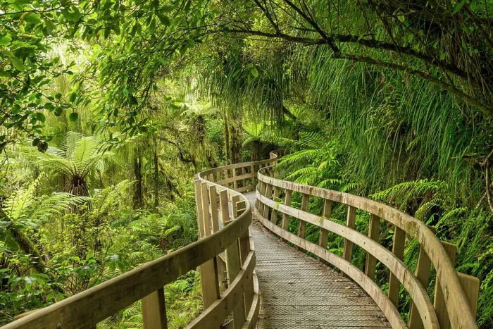 Framed Print : Footpath Through Hokitika Gorge, near Hokitika, South Island, New Zealand