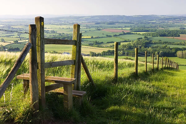 Footpath and style leading over fence through fields, Raddon Hill, Mid Devon, England