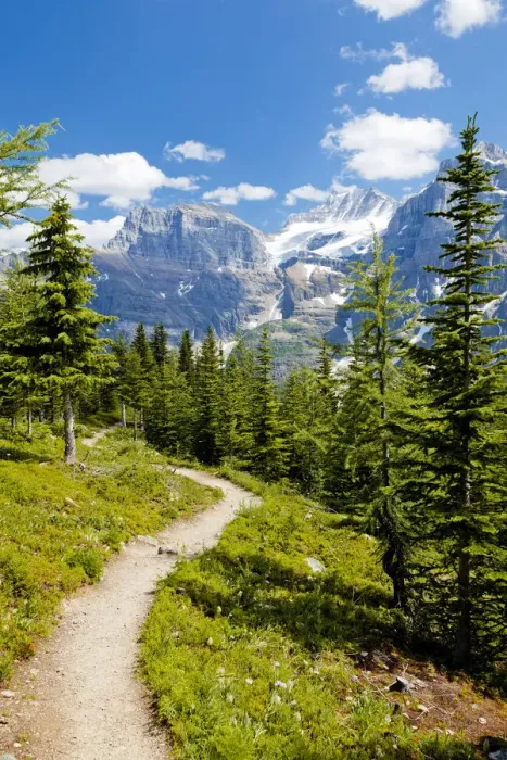 Framed Print : Footpath through Valley of the Ten Peaks, Banff National Park, Alberta, Canada Framed Print : Footpath through Valley of the Ten Peaks, Banff National Park, Alberta, Canada
