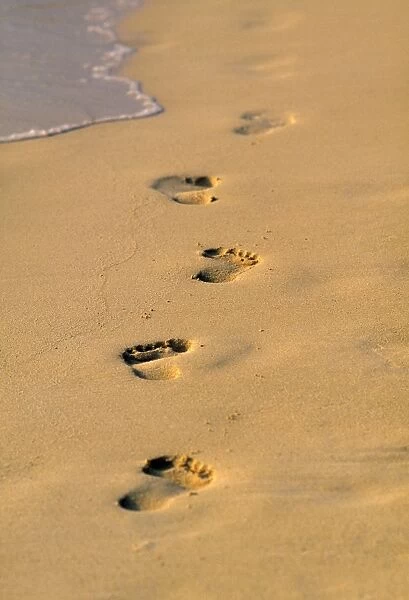 Footprints in sand, Tropical beach, Maldives