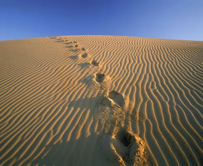 Framed Print : Footprints in Sand Dune, Algondones Dunes Wilderness, California, USA