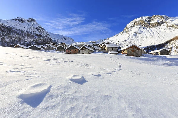 Footprints in the snow at Alpe Lendine. Vallespluga, Valchiavenna, Valtellina, Lombardy