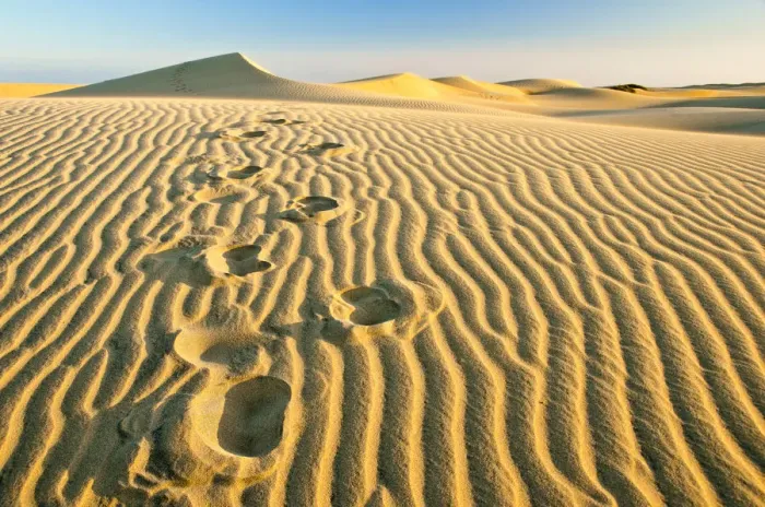 Framed Print : Footsteps on the sand in a beach that looks like a desert, Maspalomas, Gran Canaria Framed Print : Footsteps on the sand in a beach that looks like a desert, Maspalomas, Gran Canaria