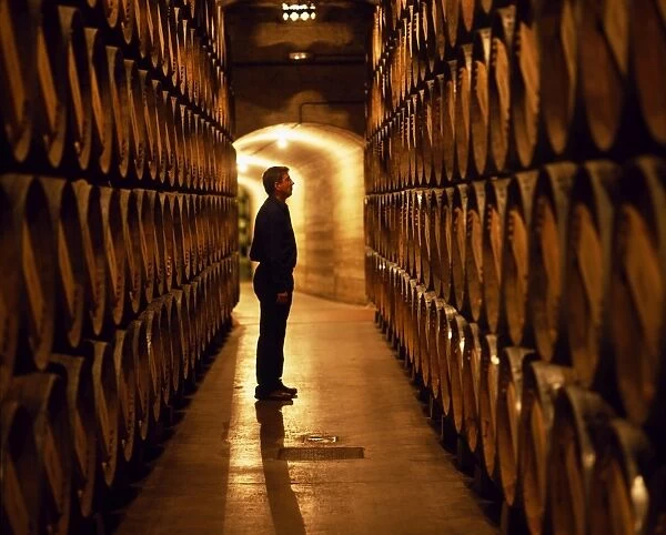 The foreman of works inspects barrels of Rioja wine