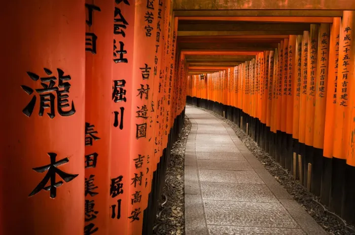 Framed Print : Foreshortening of Fushimi Inari-taisha Temple, Kyoto, Japan Framed Print : Foreshortening of Fushimi Inari-taisha Temple, Kyoto, Japan