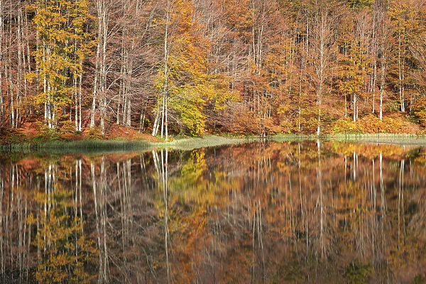 the forest with its autumn colors reflected in the Pranda Lake