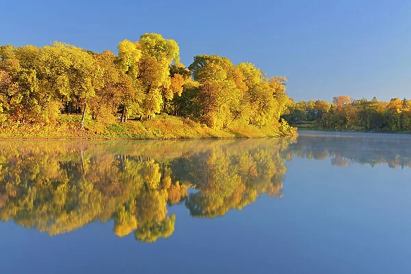 Forest in autumn colors reflected in the Red River at sunrise. St. Vital Park, Winnipeg, Manitoba, Canada