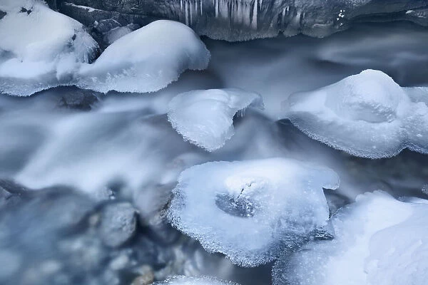 Forest brook frozen in winter - Germany, Bavaria, Upper Bavaria, Garmisch-Partenkirchen