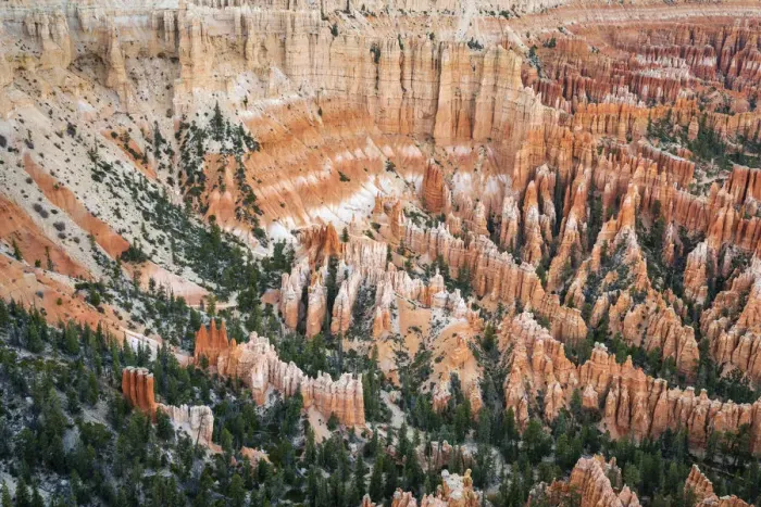 Framed Print : Forest in Bryce canyon surrounded by hoodoos, Bryce Point, Bryce Canyon National Park Framed Print : Forest in Bryce canyon surrounded by hoodoos, Bryce Point, Bryce Canyon National Park