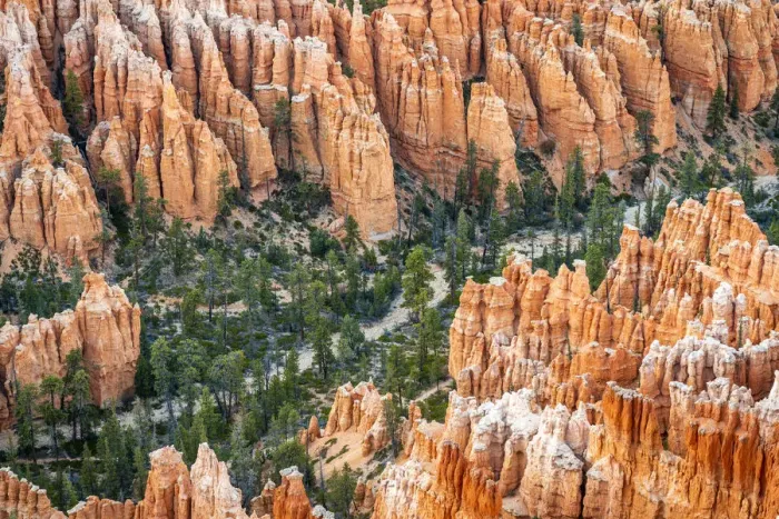 Framed Print : Forest in Bryce canyon surrounded by hoodoos, Bryce Point, Bryce Canyon National Park Framed Print : Forest in Bryce canyon surrounded by hoodoos, Bryce Point, Bryce Canyon National Park