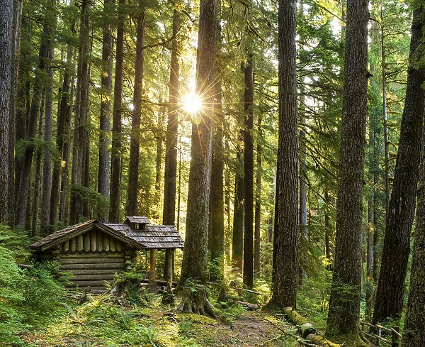 Forest Cabin, Sol Duc, Olympic National Park, Washington, USA