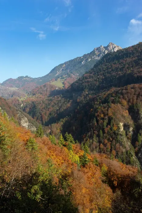 Framed Print : Forest covered hillside above Aigle, La Grande Eau valley, Vaud, Switzerland