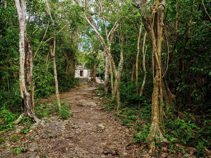 Framed Print : Forest pathway towards Templo Nohoch Nah, Big House Temple, San Gervasio Archaeological Site, Cozumel Island, Quintana Roo State, Mexico Framed Print : Forest pathway towards Templo Nohoch Nah, Big House Temple, San Gervasio Archaeological Site, Cozumel Island, Quintana Roo State, Mexico