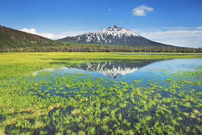 Framed Print : Forest pond am Sparks Lake with Mount Bachelor - USA, Oregon, Deschutes, Cascade Lakes Framed Print : Forest pond am Sparks Lake with Mount Bachelor - USA, Oregon, Deschutes, Cascade Lakes