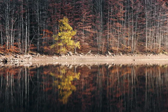 Framed Print : Forest reflection on the Lago Baccio during autumn, Appennines, Emilia Romagna, Italy Framed Print : Forest reflection on the Lago Baccio during autumn, Appennines, Emilia Romagna, Italy