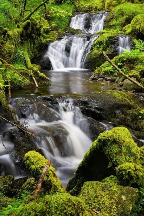 Framed Print : Forest stream Eas Dearg near Loch Ard, Aberfoyle, Stirling, Perthshire, Scotland, UK Framed Print : Forest stream Eas Dearg near Loch Ard, Aberfoyle, Stirling, Perthshire, Scotland, UK