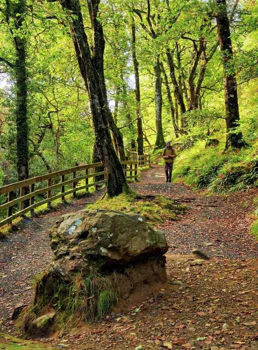 Framed Print : Forest Trail to The Spinc, Glendalough, County Wicklow, Ireland Framed Print : Forest Trail to The Spinc, Glendalough, County Wicklow, Ireland