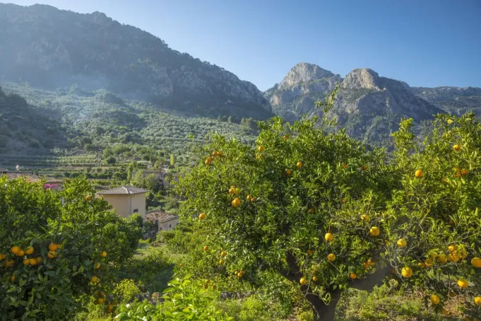 Framed Print : Fornalutx, Serra de Tramuntana, Mallorca, Balearic Islands, Spain Framed Print : Fornalutx, Serra de Tramuntana, Mallorca, Balearic Islands, Spain