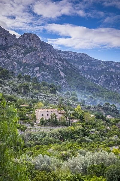Fornalutx, Serra de Tramuntana, Mallorca (Majorca), Balearic Islands, Spain