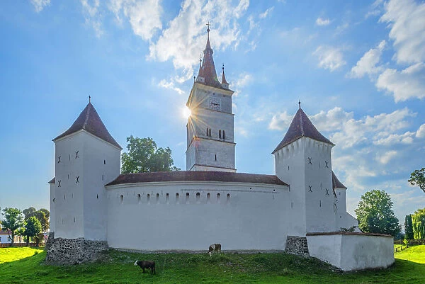 Fortified church of Harman, Transylvania, Romania