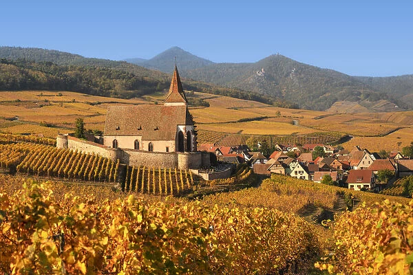 Fortified church of Saint Jacques, Hunawihr, Alsace, Alsatian Wine Route, Haut-Rhin