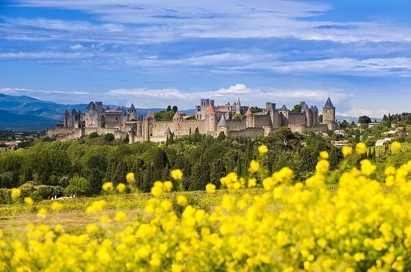The fortified city of Carcassonne, Languedoc-Roussillon, France
