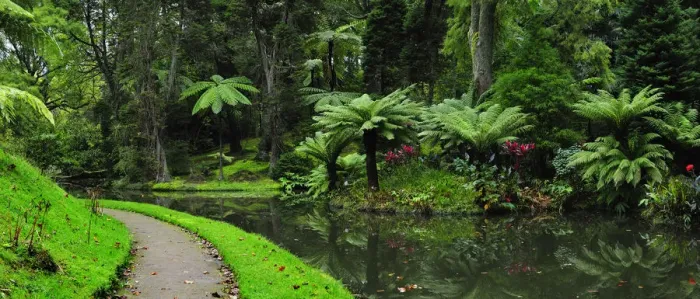 Framed Print : Founded in the 18th century, the Terra Nostra garden at Furnas is one of the most Framed Print : Founded in the 18th century, the Terra Nostra garden at Furnas is one of the most