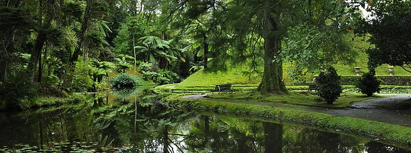 Founded in the 18th century, the Terra Nostra garden at Furnas is one of the most