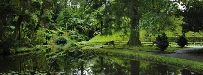 Framed Print : Founded in the 18th century, the Terra Nostra garden at Furnas is one of the most