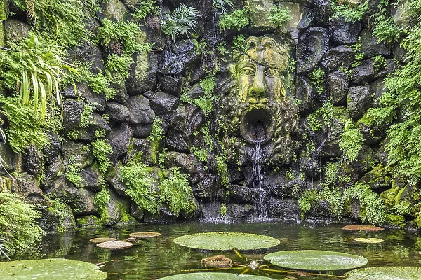 Fountain in the orchid grotto in La Mortella garden in Forio, Ischia island