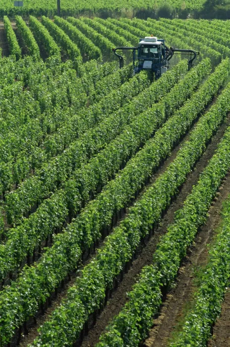 Framed Print : France, Aquitaine, Bordeaux region, St. Emilion, Vine Spraying